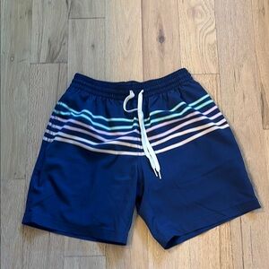Chubbies Teal and Navy Swim Shorts